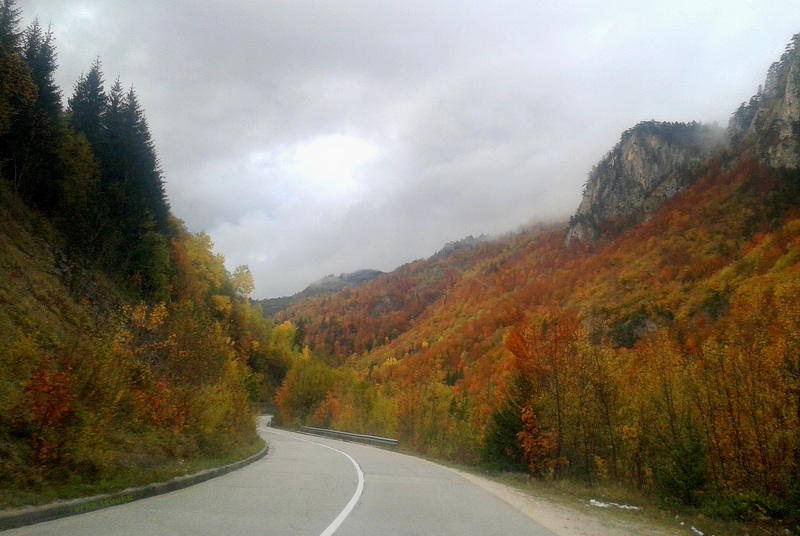 Autumn on the way along the Ugar River