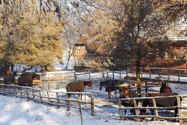 Reitstall zur Winterzeit