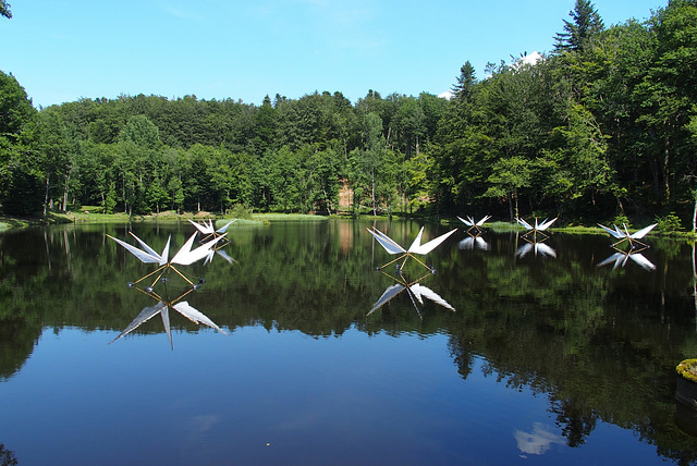 Les araignées d'eau...