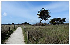 auprès de mon arbre