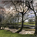 Newfield Bridge, Malhamdale