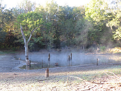 Fog on the pond 2