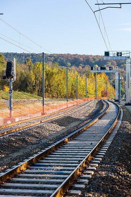 161031 Delle gare 13