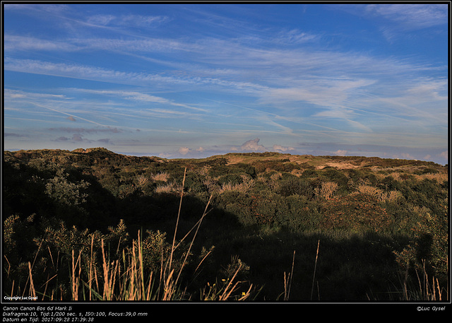 IMG 9398.jpg   2017 09 26  Bredene strandwandeling