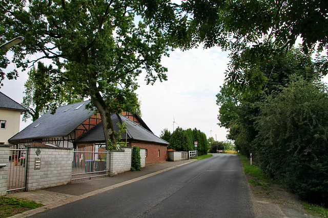 Mengeder Straße (Castrop-Rauxel) / 11.07.2020