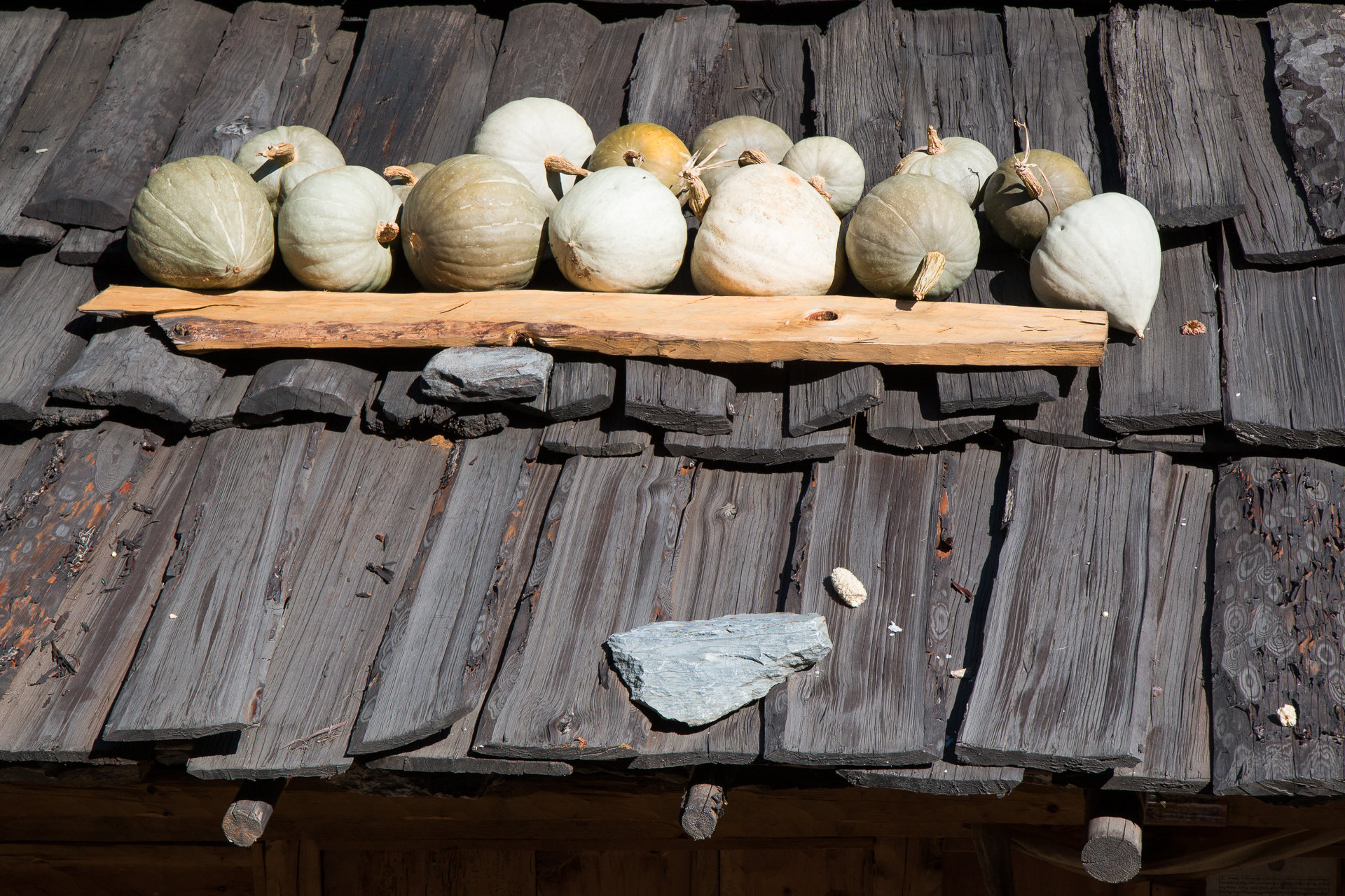 Ripening on the Roof