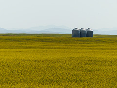 Silos, Canola and ghostly hills