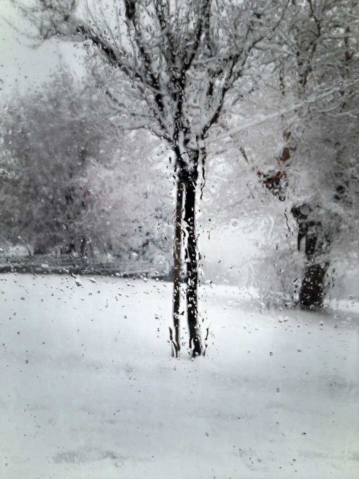 Neve