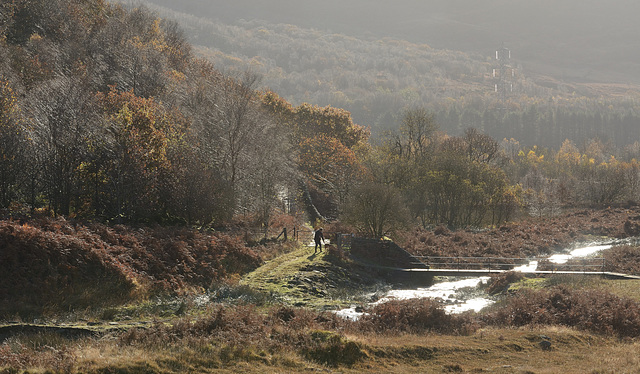 Dog walkers track