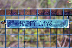 'Happy Days'