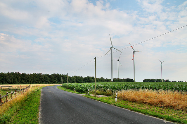 Mengeder Straße (Castrop-Rauxel) / 11.07.2020