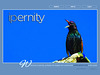 ipernity homepage with #1217
