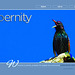 ipernity homepage with #1217