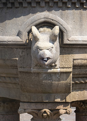 Gargoyle