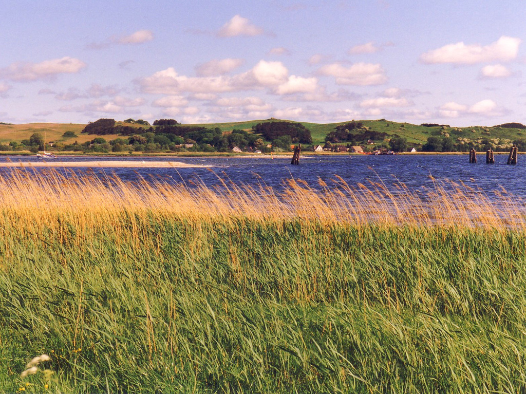 Bodden mit Sandbank bei Klein Zicker