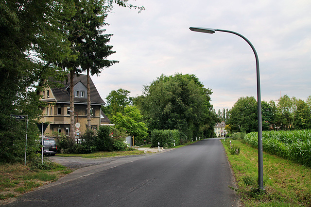 Mengeder Straße (Castrop-Rauxel) / 11.07.2020