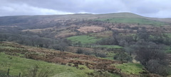 Cwm Bargoed