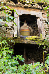 Prayer Wheel on Automatic