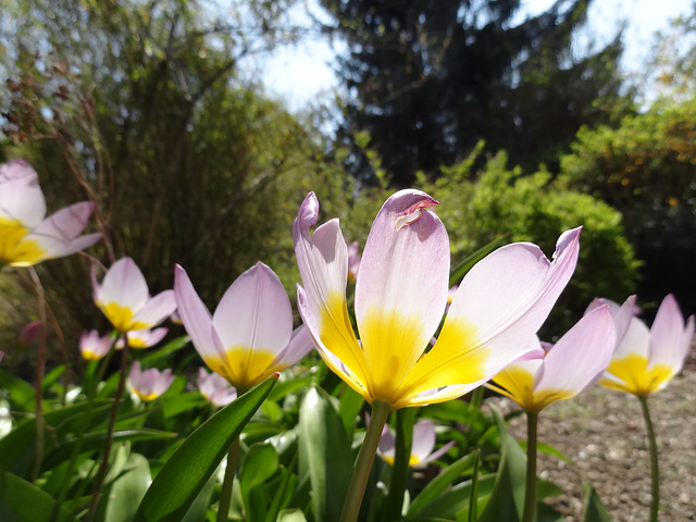 Fröhliche Ostern für Euch alle!