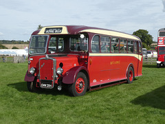 Preserved former Wilts & Dorset 279 (EMW 284) at Showbus 50 - 25 Sep 2022 (P1130425)