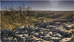 Limestone Pavement, Malham Cove