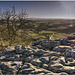 Limestone Pavement, Malham Cove