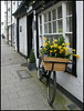 Holywell daffs
