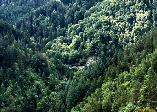 IMG 9399-Bearbeitet PA