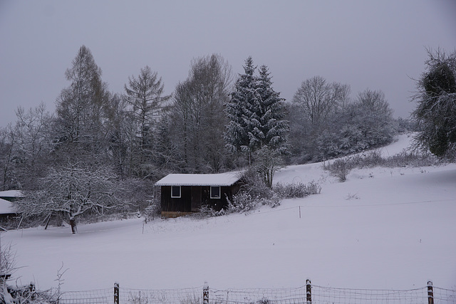 Neuschnee