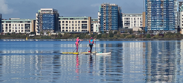 Paddleboards on Cardiff Bay