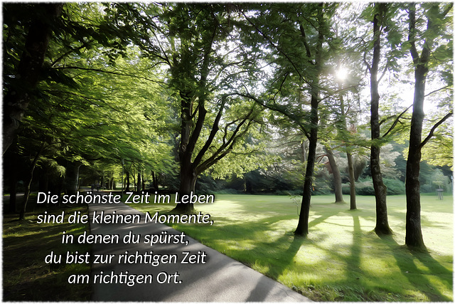 im Kurpark (Quote)