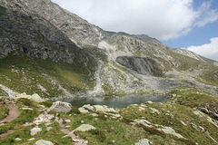 Kratzberger See (4PicinPic - neugierige Ziegen)