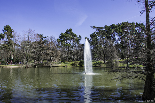 beim Palacio de Cristal (© Buelipix)