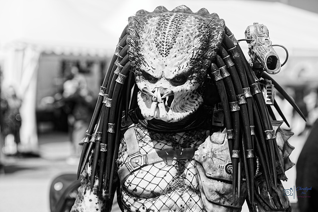 Predator war auch da
