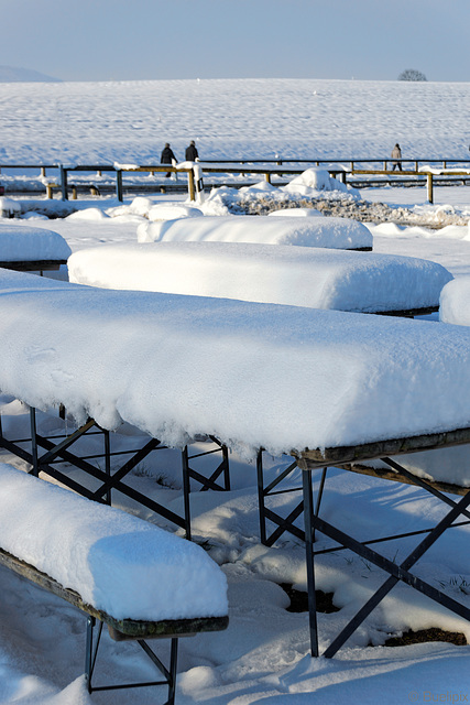 Planespotterplatz Flughafen Zürich-Kloten im Winter (© Buelipix)