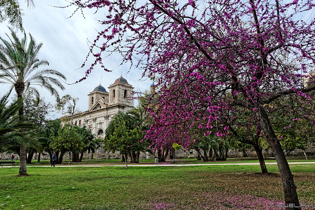 im Jardin del Turia (© Buelipix)