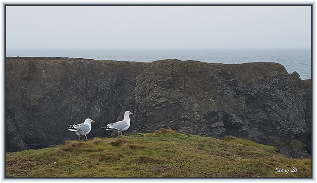 Belle Ile en Mer 4