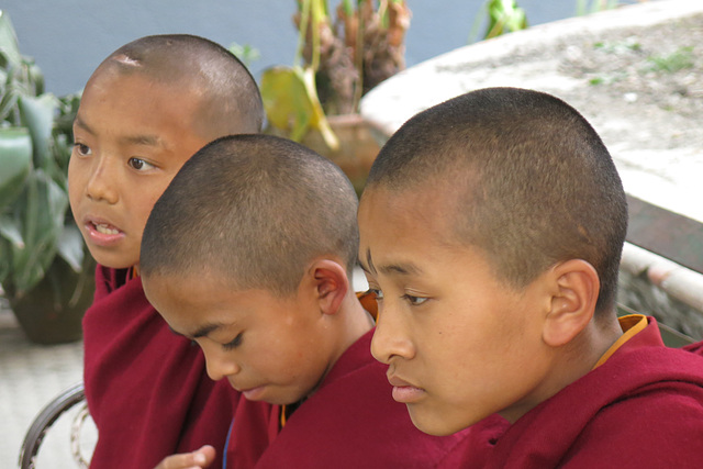 Moinillons (Bodnath = Boudhanath), Kathmandu (Népal)