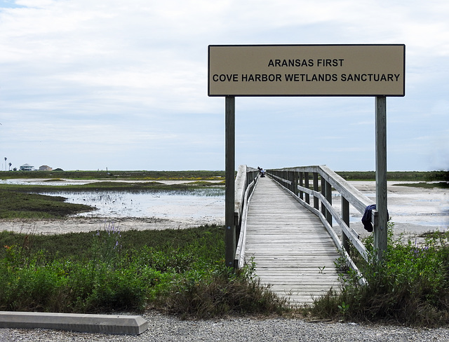 Day 2, Aransas First Cove Harbor Wetlands Sanctuary