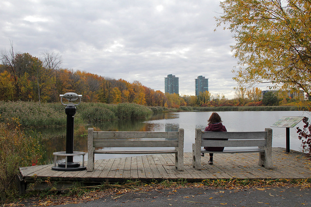 Happy Bench