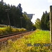 VÖ0000277