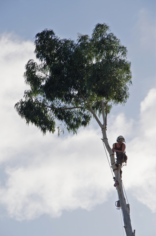 Topping off