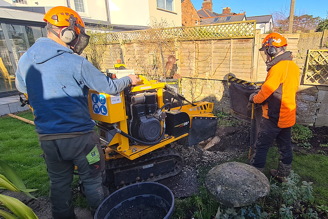 Stump Grinder