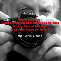 ... photographier ...