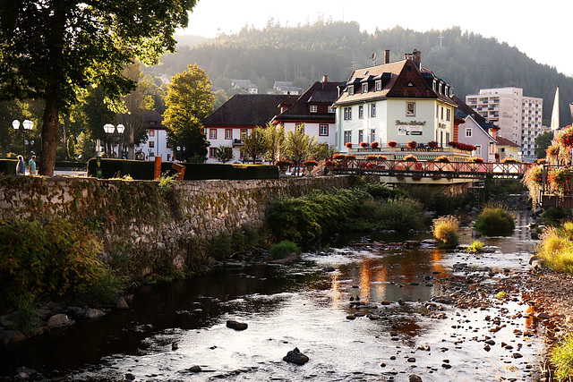 St. Blasien - Die Alb und das Dom-Hotel