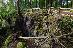 Auf dem Ernstberg in Hinterweiler in der Eifel