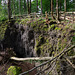 Auf dem Ernstberg in Hinterweiler in der Eifel