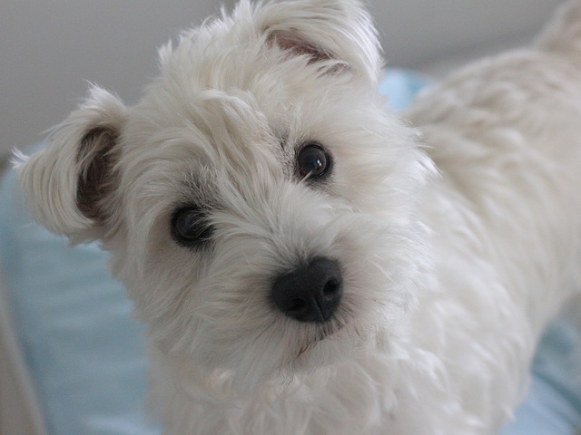 318/365 2025 What's that you say?