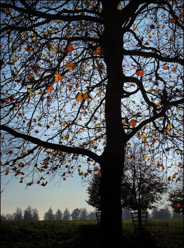 "Chill Of An Early Fall"