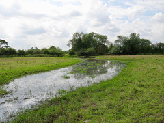 Recent heavy rain around the footpath approaching Yoxall Road